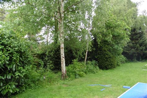 Fire pit garden - Thrity Mama Garden Design