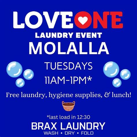 LoveOne Laundry - Molalla, 1515 W Main St Ste G, Molalla OR 97038, 14 ...