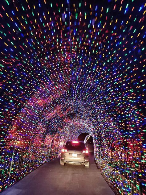 Christmas Lights in Raleigh NC: Best Triangle Holiday Light Displays ...