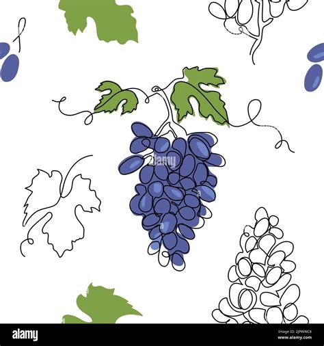 Clip Art And Grapevine Trellis