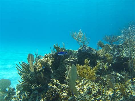 Secluded and Peaceful House Rental: Shore Thing