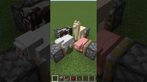 Command to Be Animal Minecraft Java 的图像结果