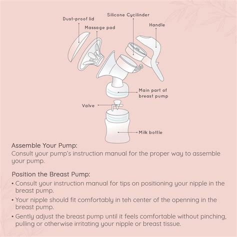 Buy PEE SAFE MANUAL BREAST PUMP FOR NURSING MOTHERS | WITH 150ML ...