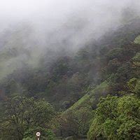 Charmadi Ghat (Mudigere) - All You Need to Know BEFORE You Go