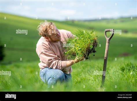 Soil Science 的图像结果