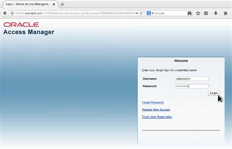 OAM Oracle 的图像结果