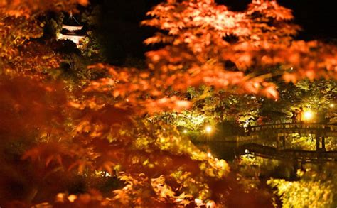 Japan erlebt den heißesten Herbst seit Beginn der Wetteraufzeichnungen