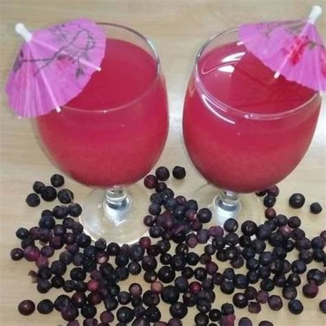 Falsa Soft Drink Concentrate Manufacturer from Rajkot