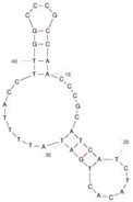 Perspectives in Aptasensor-Based Portable Detection for Biotoxins