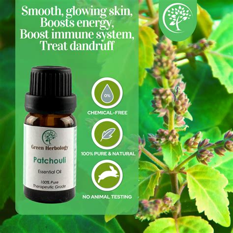 Patchouli Essential Oil | Green Herbology