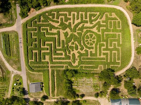 Queens County Farm Museum's Amazing Maize Maze features a design by ...
