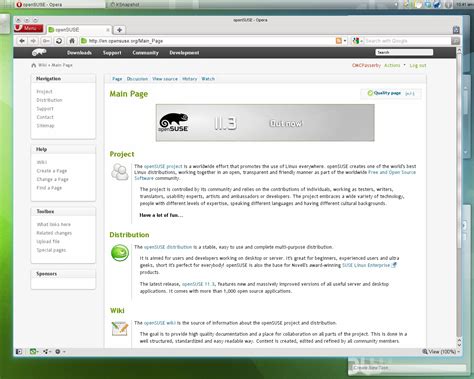 Opera Program 的图像结果