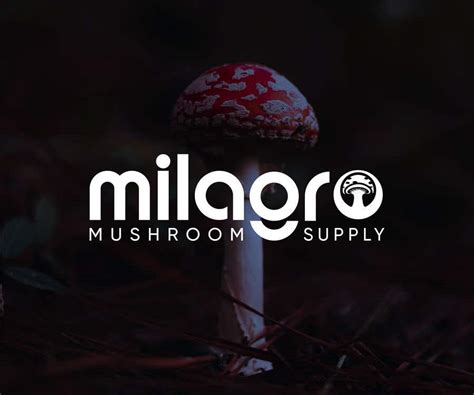 Entry #292 by kutubmeah for Mushroom supply logo and/or Font for Name ...