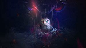 Owl wallpapers hd, desktop backgrounds, images and pictures
