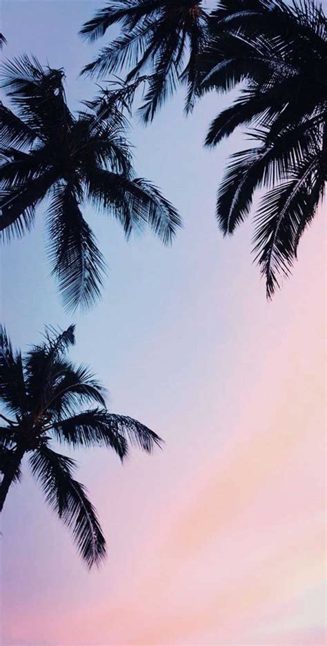 Image result for Wallpaper for Coder Java