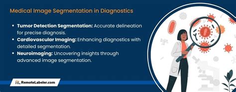 Image result for Medical Image Segmentation MATLAB