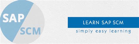 SAP SCM Tutorial 的图像结果