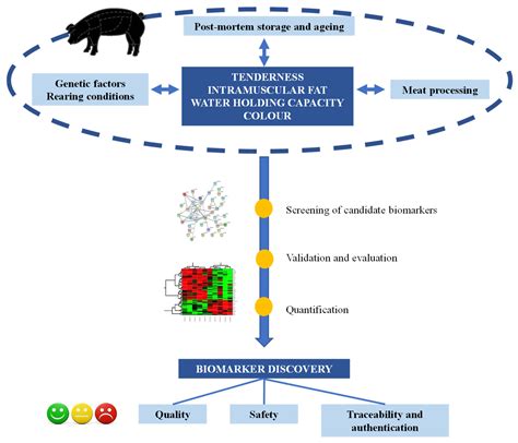 Application of Proteomic Technologies to Assess the Quality of Raw Pork ...
