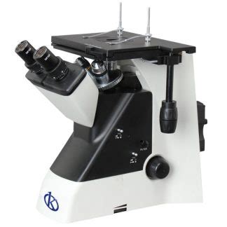 The use of the Microscope for the detection of Hepatitis B virus | Kalstein