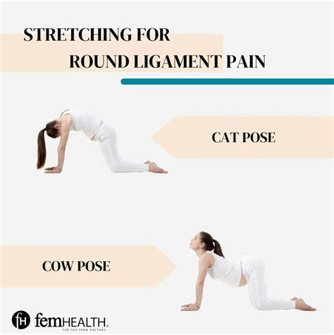 Lower Back Stretches Pregnancy