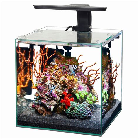 Aqueon 29 Gallon Aquarium Kit