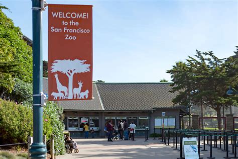 SF Zoo keeping 2 exhibits closed after wild animal death confirmed