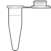 Virtual PCR Simulator 的图像结果