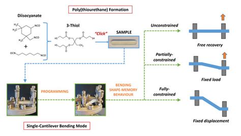 Actuator Behaviour of Tailored Poly(thiourethane) Shape Memory Thermosets