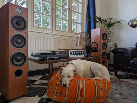 Image result for Audioengine A2 Connection to PC