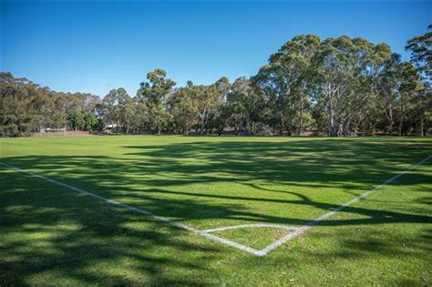 Max Amber Sportsfield 的图像结果