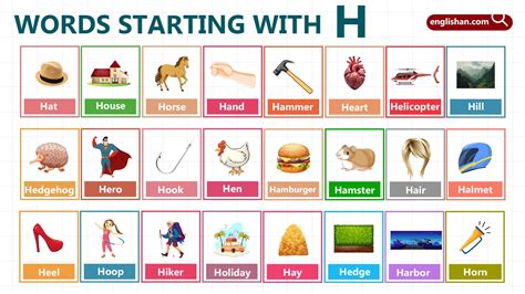 Words That Start with H – 600+ H Words List in English