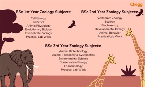BSc Zoology: Eligibility, Exams & Promising Career Paths 2025