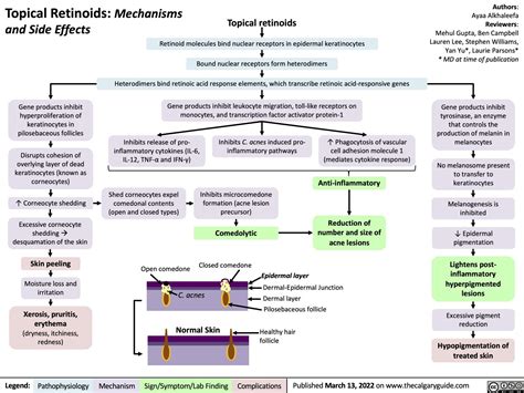 Topical Retinoids: Mechanisms and Side Effects | Calgary GuideCalgary Guide