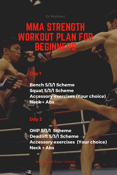MMA Beginner's Guide 的图像结果