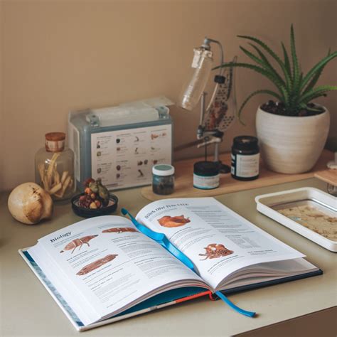 Image result for BioAPI Study Tips