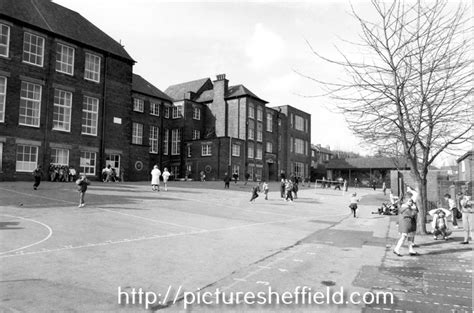 Searching Picture Sheffield