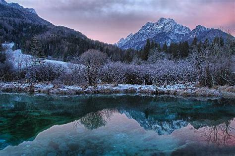 Zelenci Nature Reserve (Kranjska Gora) - 2020 What to Know Before You ...