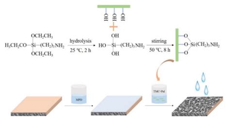 Organo-Functionalization: An Effective Method in Enhancing the ...