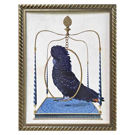 Glass Framed Cockatoo Print Wall Art, 13x17