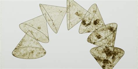 Image result for Object Lessons in Art