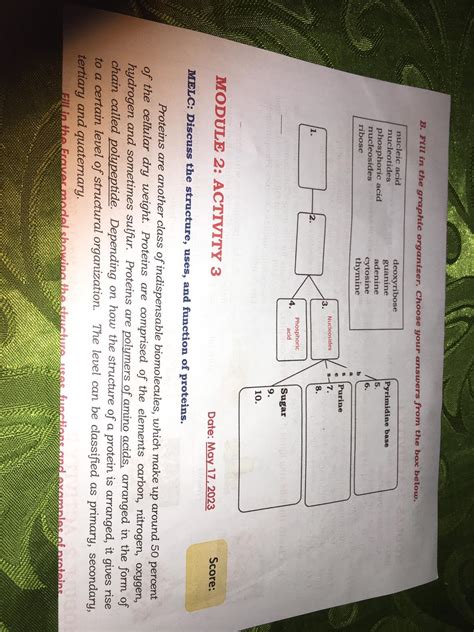 Fill In The Graphic Organizer On The Importance Of Enhancing And ...