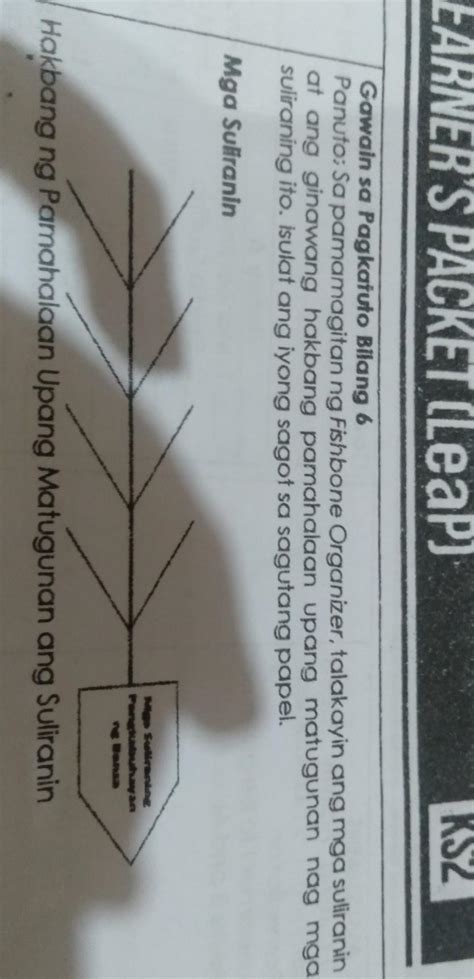 gamit ang fishbone organizer palaka na suliranin at ginawa ng ...