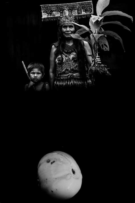 Witjai. Il gene verde della razza umana | Meer