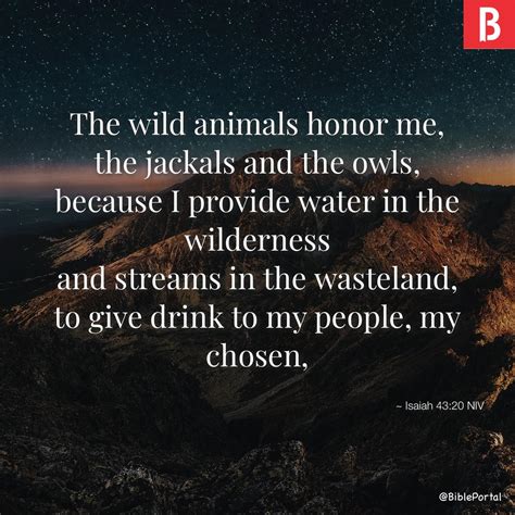 10 Bible Verses about Ostriches - page 1