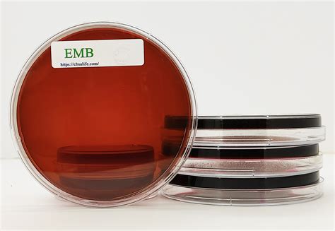 Eosin Methylene Blue Agar
