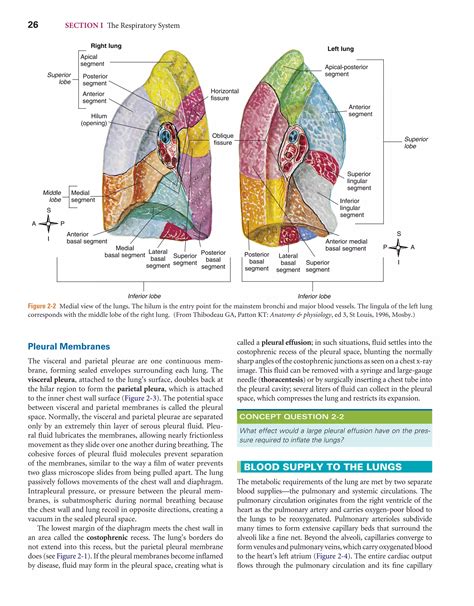 Respiratory Care Anatomy and Physiology (3rd ed).pdf
