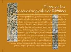 ZooLex Exhibit - Jaguar Trail