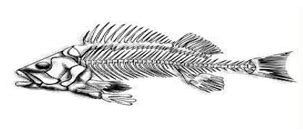 Integrating Edge-Intelligence in AUV for Real-Time Fish Hotspot ...