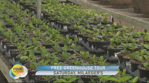 Take a peek inside a greenhouse during Milaeger?s Indoor Pop-Up ...
