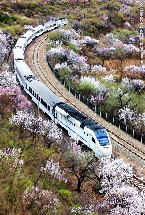 开往春天的火车摄影图__自然风景_自然景观_摄影图库_昵图网nipic.com